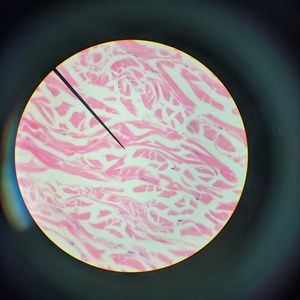 Meet your Posher, Paul